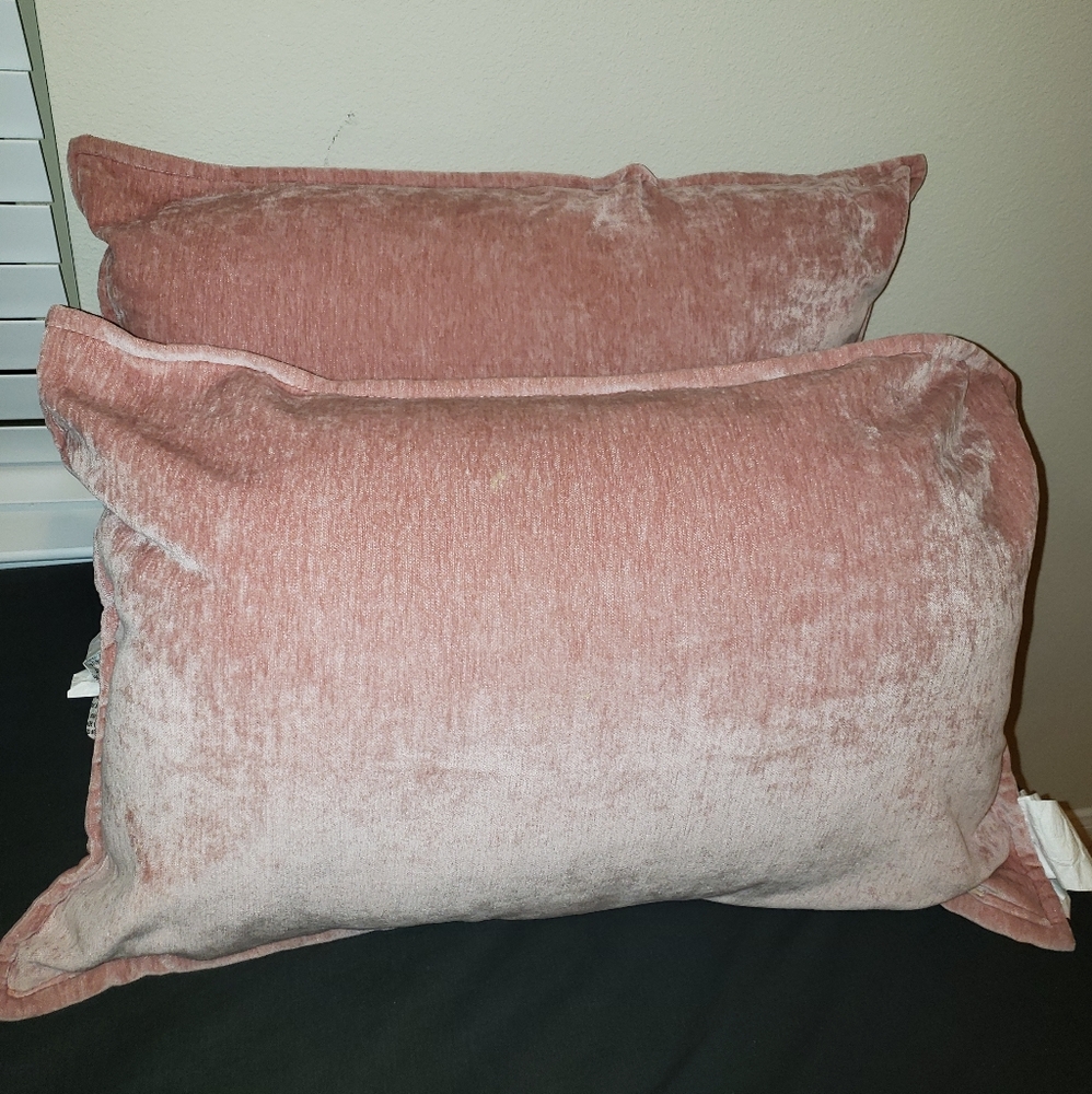 NWT set of 2 lux pillows